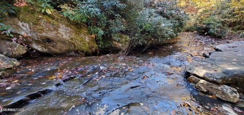 Tiny photo for 1532 E Overlook Rd, Monterey, TN 38574 (MLS # 1356162)