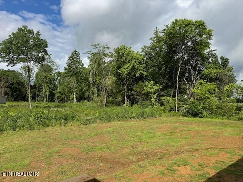 Photo of 724 Old Cemetery Rd, Madisonville, TN 37354 (MLS # 1300890)