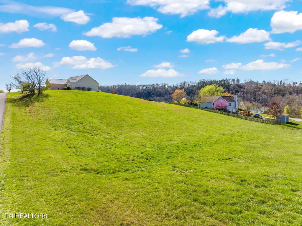 Photo of Marble Bluff Drive, Kingston, TN 37763 (MLS # 1256468)