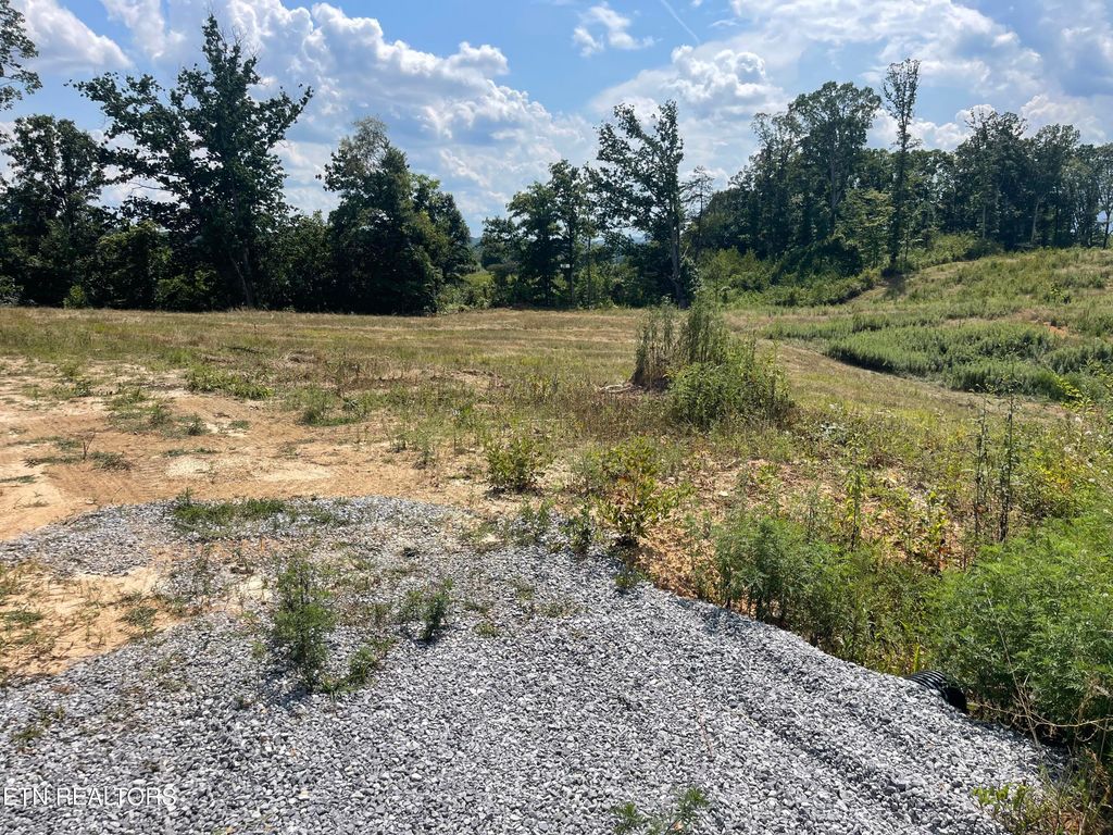 Photo of 22 Laura Boling Loop Rd, Strawberry Plains, TN 37871 (MLS # 1310844)