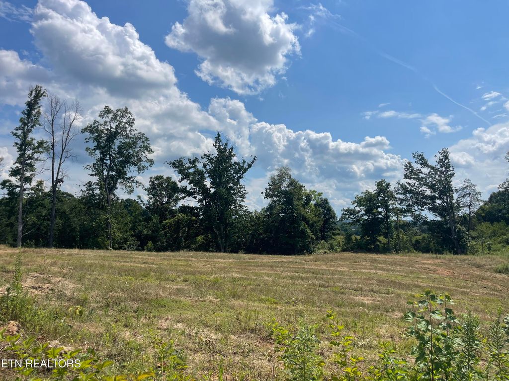 Photo of 22 Laura Boling Loop Rd, Strawberry Plains, TN 37871 (MLS # 1310844)