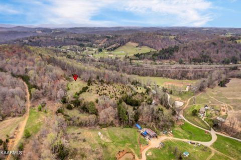 Tiny photo for 290 Maddox Lane, New Tazewell, TN 37825 (MLS # 1335706)