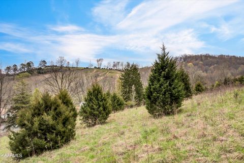 Tiny photo for 290 Maddox Lane, New Tazewell, TN 37825 (MLS # 1335706)