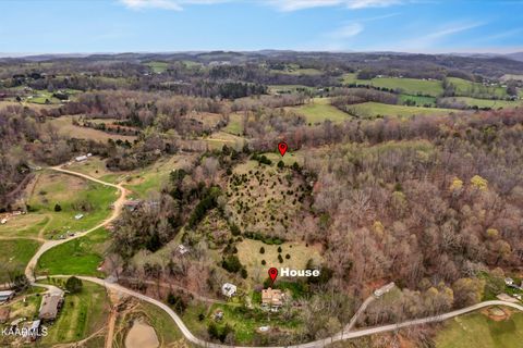 Tiny photo for 290 Maddox Lane, New Tazewell, TN 37825 (MLS # 1335706)