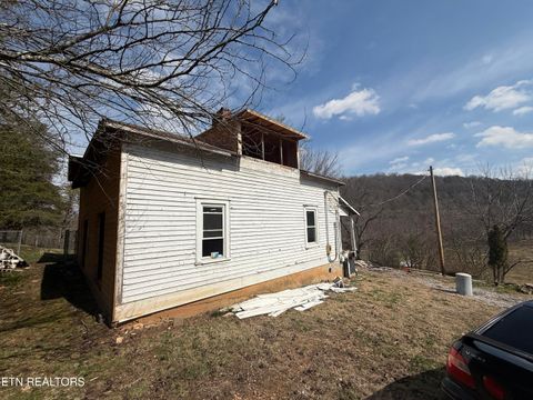 Tiny photo for 290 Maddox Lane, New Tazewell, TN 37825 (MLS # 1335706)