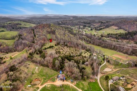 Tiny photo for 290 Maddox Lane, New Tazewell, TN 37825 (MLS # 1335706)