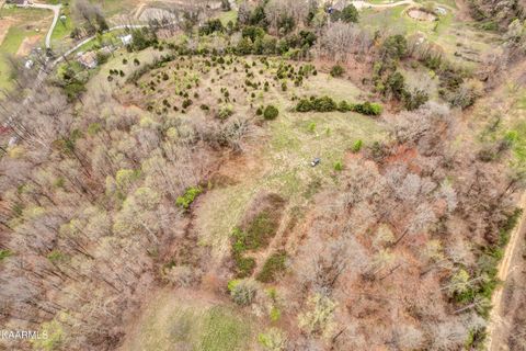 Tiny photo for 290 Maddox Lane, New Tazewell, TN 37825 (MLS # 1335706)