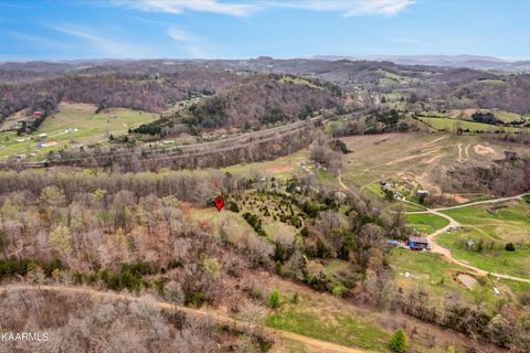 Tiny photo for 290 Maddox Lane, New Tazewell, TN 37825 (MLS # 1335706)