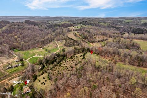 Tiny photo for 290 Maddox Lane, New Tazewell, TN 37825 (MLS # 1335706)