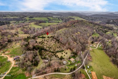 Tiny photo for 290 Maddox Lane, New Tazewell, TN 37825 (MLS # 1335706)