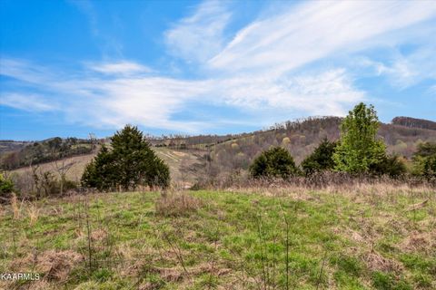 Tiny photo for 290 Maddox Lane, New Tazewell, TN 37825 (MLS # 1335706)