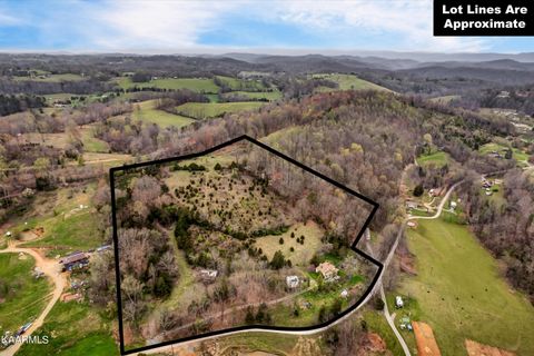 Photo of 290 Maddox Lane, New Tazewell, TN 37825 (MLS # 1335706)