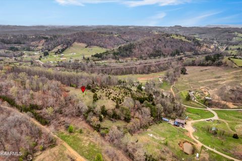 Tiny photo for 290 Maddox Lane, New Tazewell, TN 37825 (MLS # 1335706)