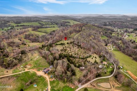 Tiny photo for 290 Maddox Lane, New Tazewell, TN 37825 (MLS # 1335706)