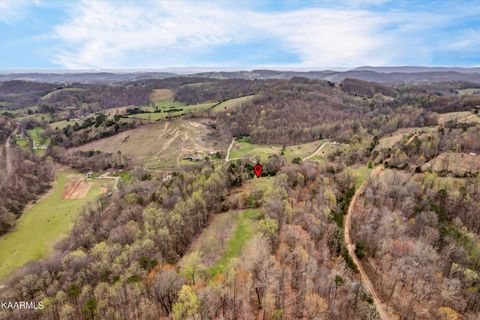 Tiny photo for 290 Maddox Lane, New Tazewell, TN 37825 (MLS # 1335706)