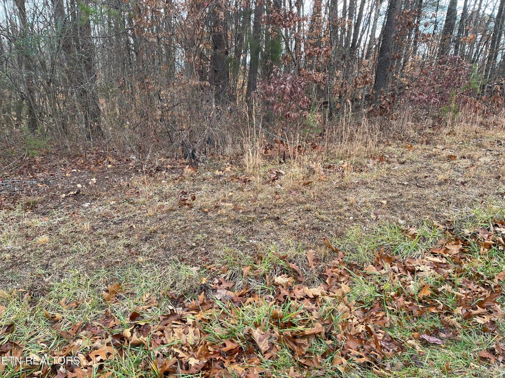 Photo of Lots 1 & 2, Skyline Drive, Harriman, TN 37748 (MLS # 1249558)