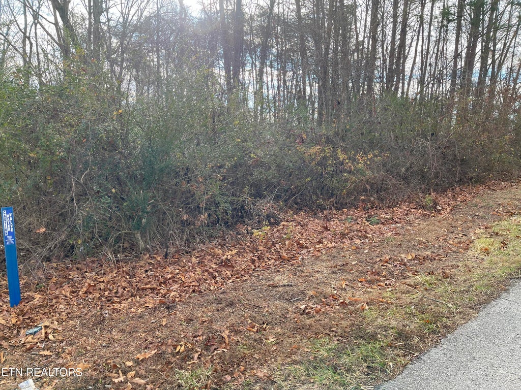 Photo of Lots 1 & 2, Skyline Drive, Harriman, TN 37748 (MLS # 1249558)
