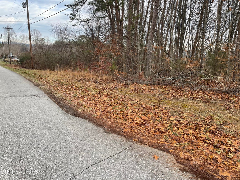 Photo of Lots 1 & 2, Skyline Drive, Harriman, TN 37748 (MLS # 1249558)