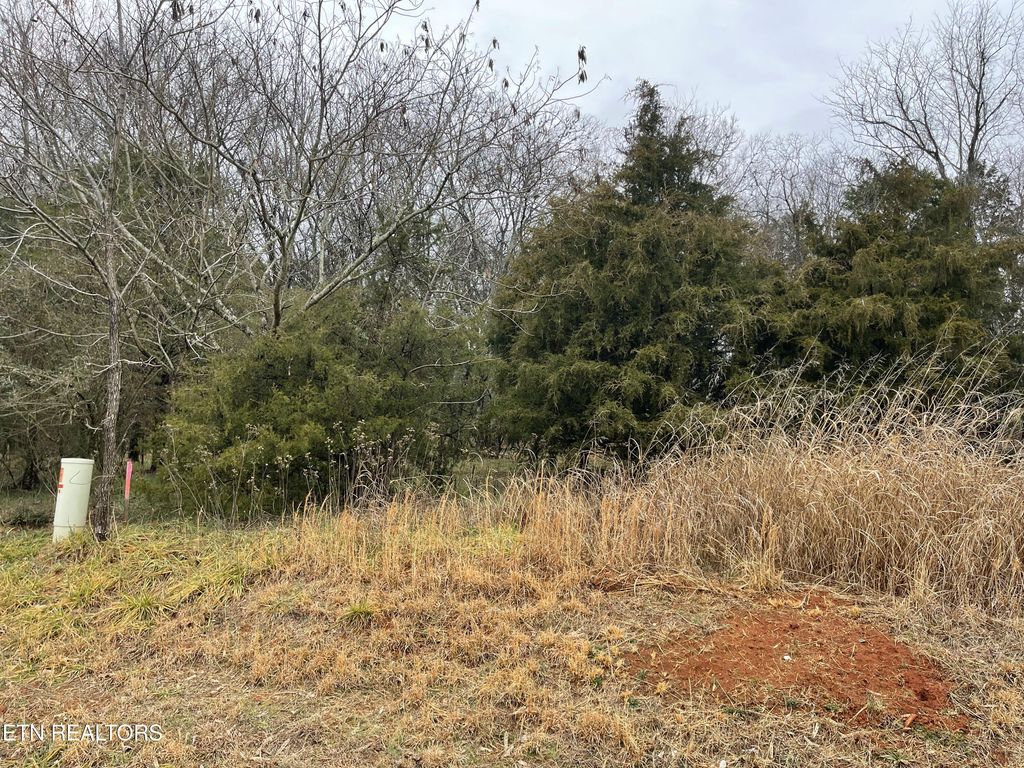 Photo of 114 Eladi Tr, Vonore, TN 37885 (MLS # 1288666)