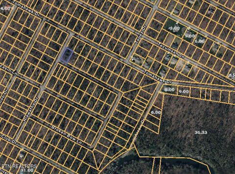 Photo of 5003 Broken Bow Drive, Crossville, TN 38572 (MLS # 1337483)