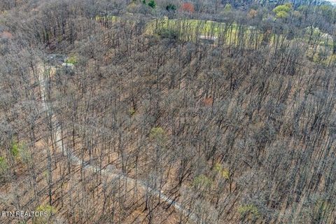 Tiny photo for Fawn Rest Drive #A 13, Rockwood, TN 37854 (MLS # 1335235)