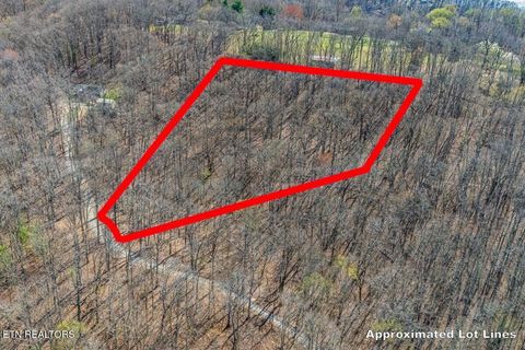 Tiny photo for Fawn Rest Drive #A 13, Rockwood, TN 37854 (MLS # 1335235)