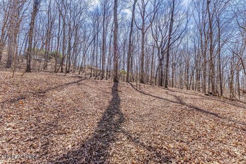 Tiny photo for Fawn Rest Drive #A 13, Rockwood, TN 37854 (MLS # 1335235)