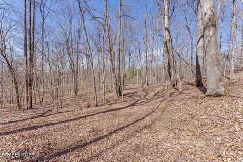 Tiny photo for Fawn Rest Drive #A 13, Rockwood, TN 37854 (MLS # 1335235)