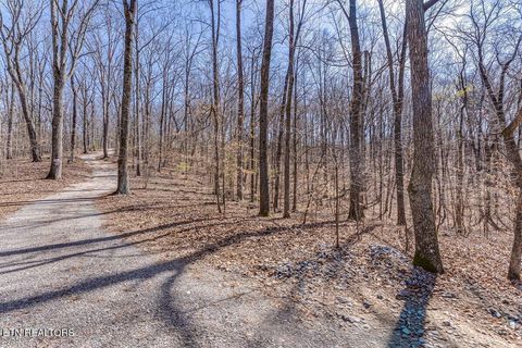 Tiny photo for Fawn Rest Drive #A 13, Rockwood, TN 37854 (MLS # 1335235)