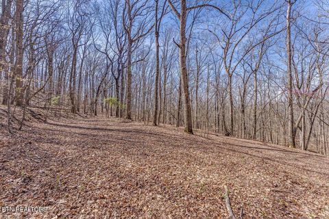Tiny photo for Fawn Rest Drive #A 13, Rockwood, TN 37854 (MLS # 1335235)