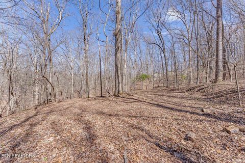 Tiny photo for Fawn Rest Drive #A 13, Rockwood, TN 37854 (MLS # 1335235)