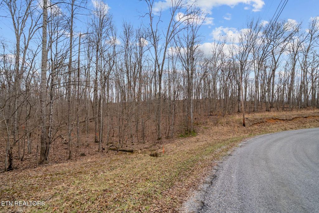 Photo of 0 Creek Drive, Monterey, TN 38574 (MLS # 1331570)