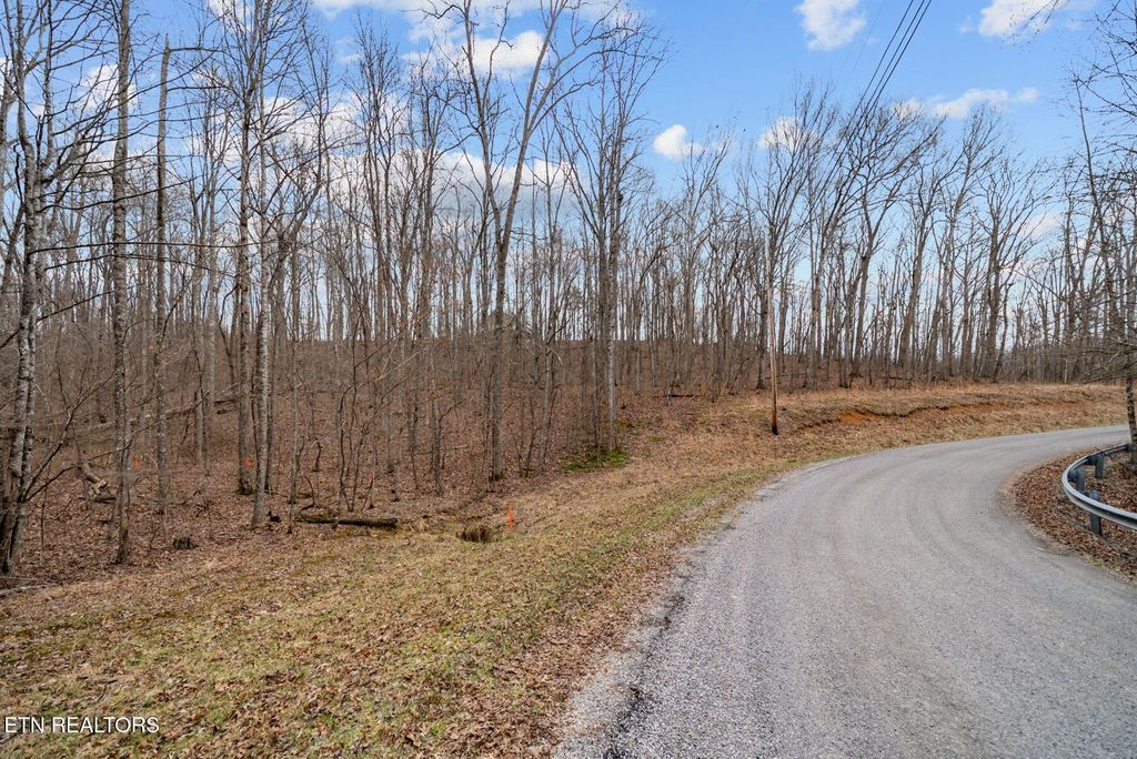 Photo of 0 Creek Drive, Monterey, TN 38574 (MLS # 1331570)