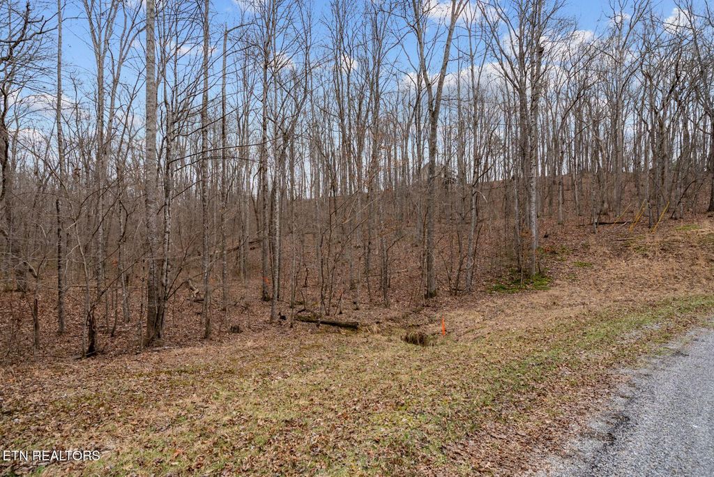 Photo of 0 Creek Drive, Monterey, TN 38574 (MLS # 1331570)