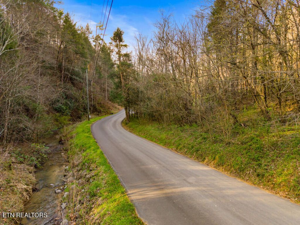 Photo of 3 Obes Branch Rd, Sevierville, TN 37876 (MLS # 1333605)