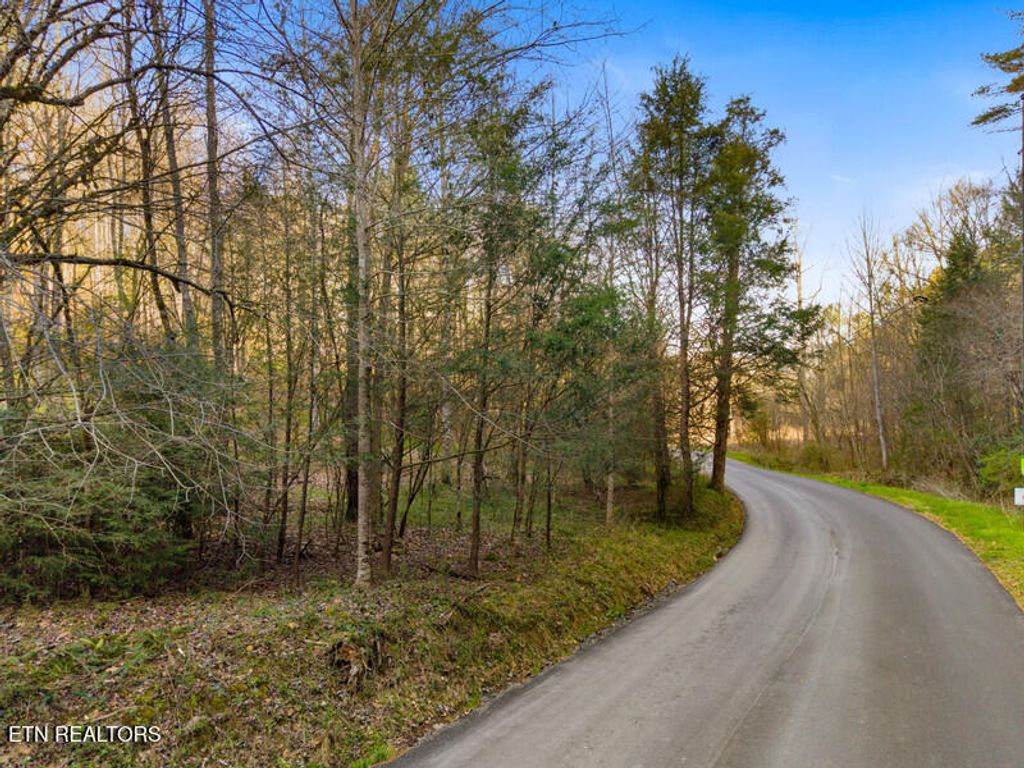 Photo of 3 Obes Branch Rd, Sevierville, TN 37876 (MLS # 1333605)