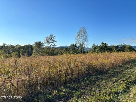 Photo of Quail Run, LaFollette, TN 37766 (MLS # 1318150)
