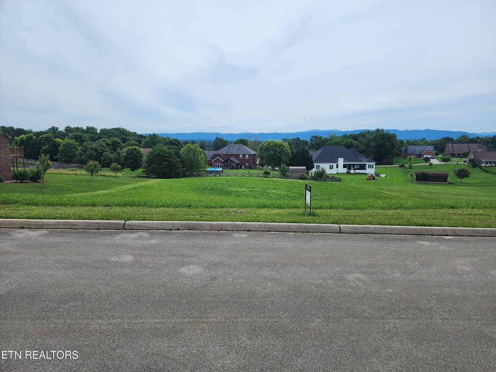 Photo of 1174 Houston Springs Rd, Greenback, TN 37742 (MLS # 1255553)