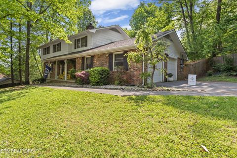 705 Kimbee Rd Knoxville TN 37923