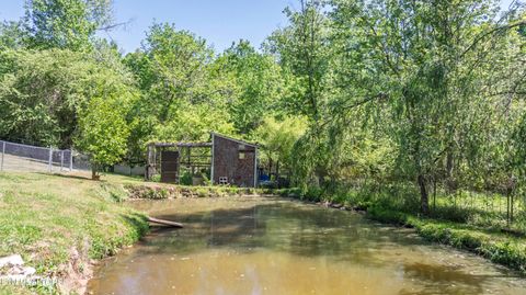 Tiny photo for 217 Roberts Rd, Spring City, TN 37381 (MLS # 1338364)