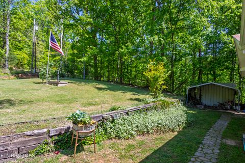 Tiny photo for 217 Roberts Rd, Spring City, TN 37381 (MLS # 1338364)
