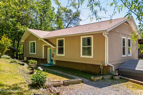 Tiny photo for 217 Roberts Rd, Spring City, TN 37381 (MLS # 1338364)