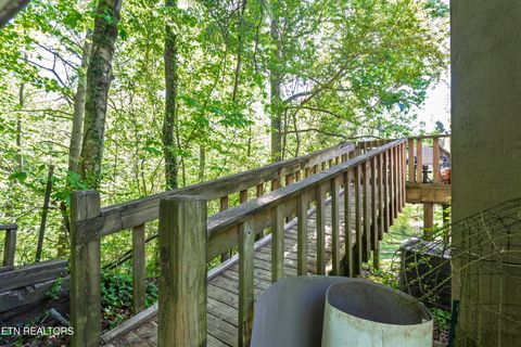 Tiny photo for 217 Roberts Rd, Spring City, TN 37381 (MLS # 1338364)