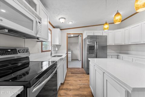 Tiny photo for 2943 Flicker Lane, Dandridge, TN 37725 (MLS # 1317387)