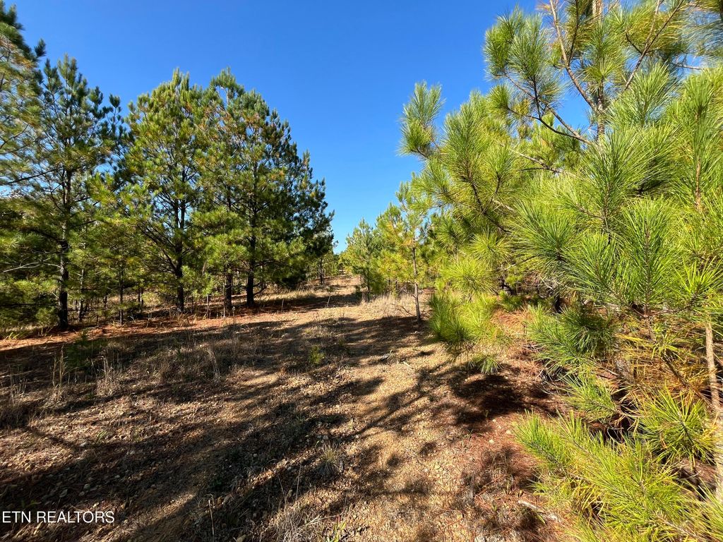 Photo of Simmons Branch Road Rd, Centerville, TN 37033 (MLS # 1324456)