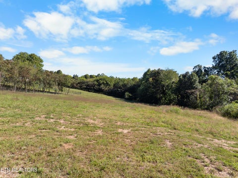 Tiny photo for 1636 Leconte Rd, Knoxville, TN 37914 (MLS # 1357226)