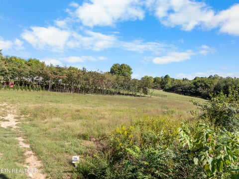 Tiny photo for 1636 Leconte Rd, Knoxville, TN 37914 (MLS # 1357226)