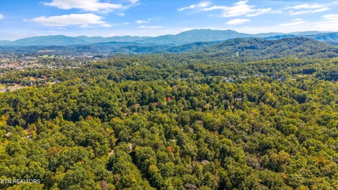 Tiny photo for 641 Country Oaks Drive, Pigeon Forge, TN 37863 (MLS # 1357403)