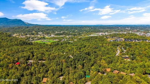 Tiny photo for 641 Country Oaks Drive, Pigeon Forge, TN 37863 (MLS # 1357403)