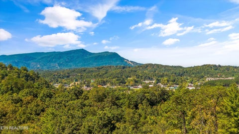 Tiny photo for 641 Country Oaks Drive, Pigeon Forge, TN 37863 (MLS # 1357403)